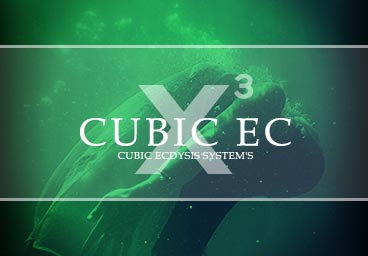 CUBIC EC キュービックエック